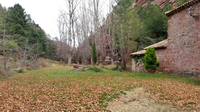 Entorno-del-molino-alto
