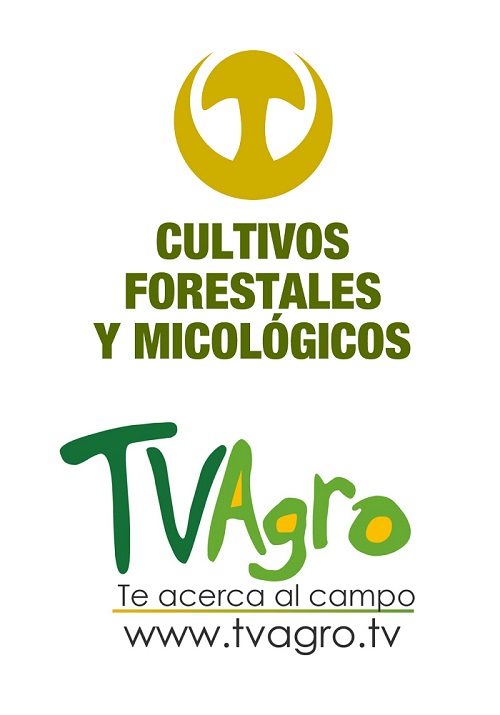 Logos_CFM_y_TV_Agro