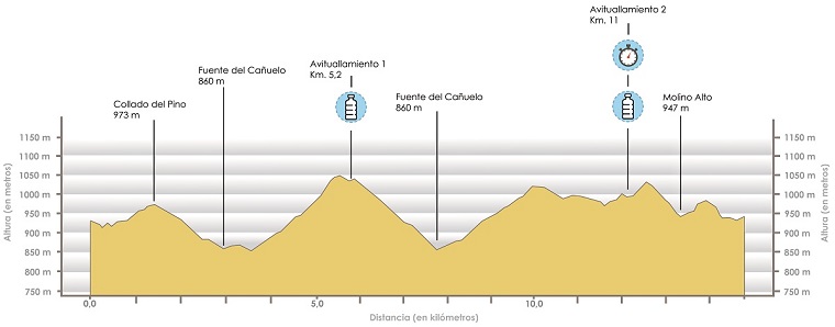 Perfil de la Torre de las Arcas Trail
